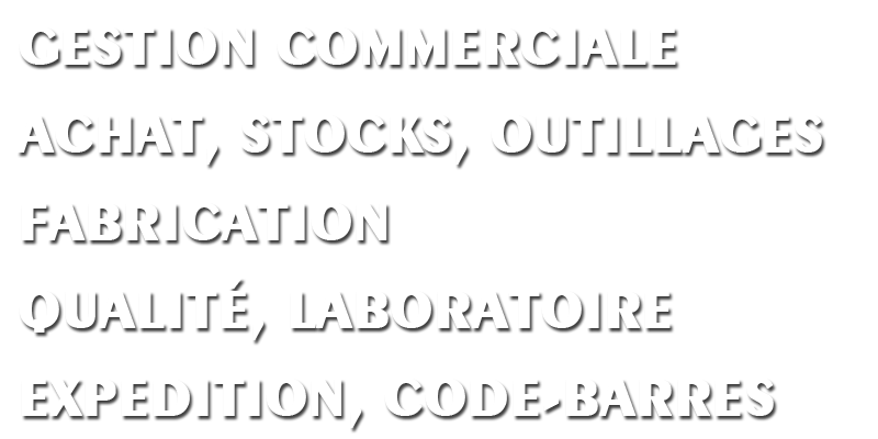 Modules pgi expédition code-barres logistique